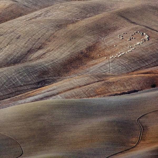 Photograph Della Latta Massimo  Terre Di Siena on One Eyeland